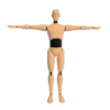 Crash Dummy 3D model