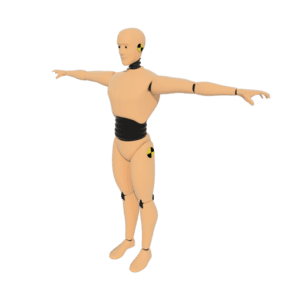 Crash Dummy 3D model