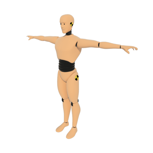 Crash Dummy 3D model