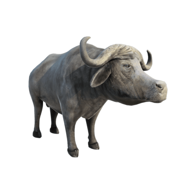 buffalo 3d model free download