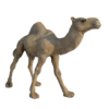 Camel 3d model