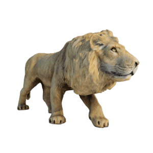 lion 3d model