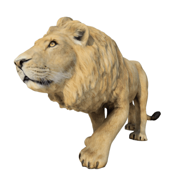 Lion 3d Model 3d Models Download