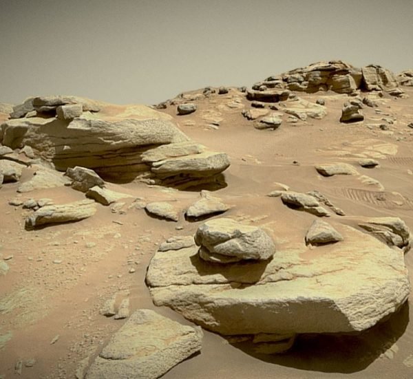 Mars landscape 3d model