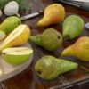 pear_3d model free download