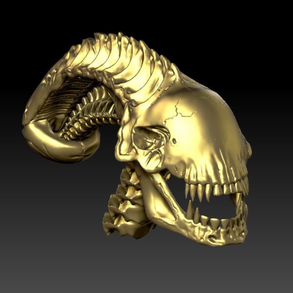 alien_skull_3d_model