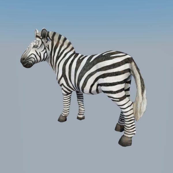 Zebra 3d models