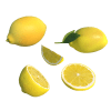 lemon 3d model