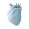 HEART_3D_MODEL_DOWNLOAD